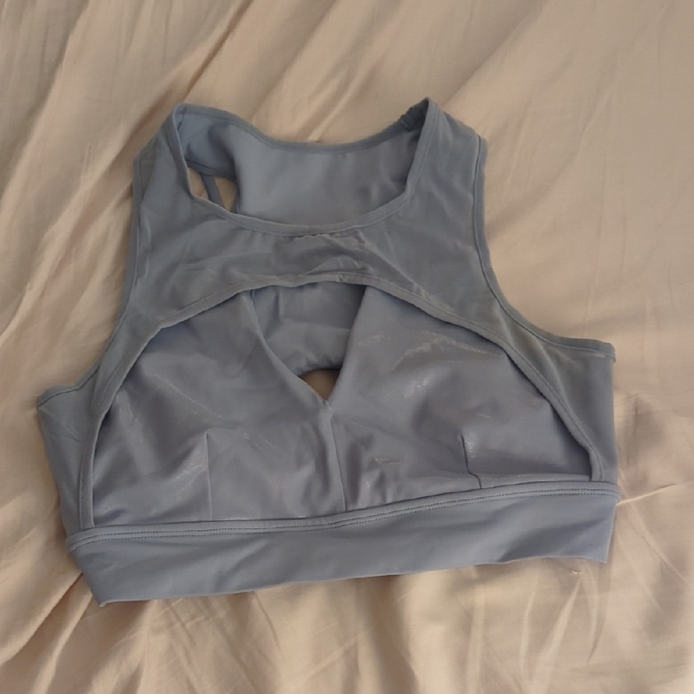 EUC Large BuffBunny Blue Storm Bra